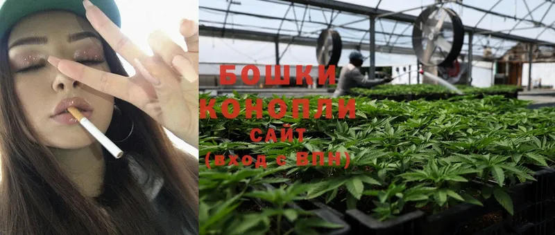 Конопля SATIVA & INDICA  Серов 